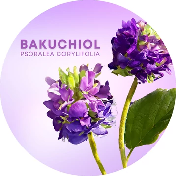 Bakuchiol  a növényi retinol alternatíva