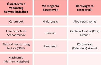 Egészséges bőr barrier